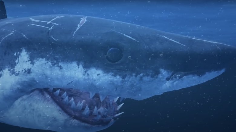 Mummy Shark