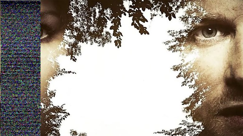 Two Eyes Staring