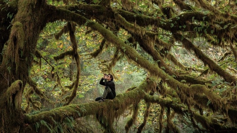 Whispering in the Woods